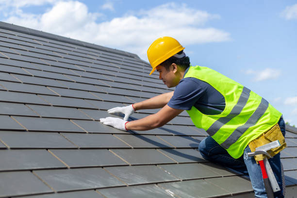 Best Metal Roofing Contractor  in Nevada, TX